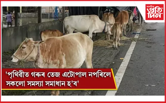 গোবৰেৰে নিৰ্মিত ঘৰবোৰ পাৰমাণৱিক বিকিৰণৰ দ্বাৰা প্ৰভাৱিত নহয়: গুজৰাট আদালত