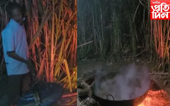 বয়সৰ ওচৰত হাৰ নমনা এগৰাকী কৃষক, ব্যস্ত ভোগালীৰ গুৰ প্ৰস্তুতত
