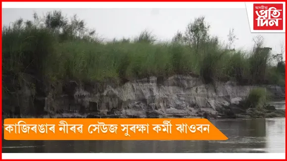 কাজিৰঙাৰ সেউজ সেনানীৰ ৰূপত ঝাওবন