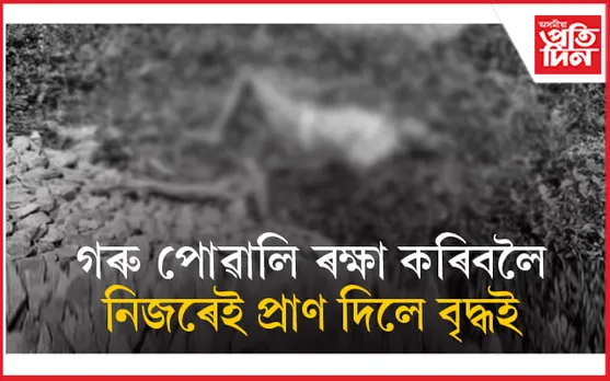 ৰে'ল আলিত আবদ্ধ গৰু পোৱালি উদ্ধাৰ কৰিবলৈ গৈ নিহত বৃদ্ধ...