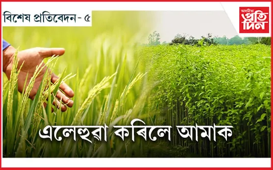 ৰাজ্যৰ কৃষিখণ্ডৰ ভয়াৱহ ছবি, খেতি-বাতি, মাটিলৈ আমি যেন দিছো পিঠি