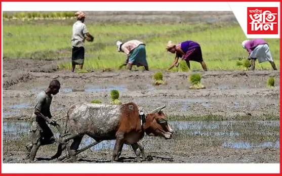 ধান ক্ৰয়ৰ ভেঁকোভাওনাত দিশহাৰা ৰাজ্যৰ লাখ লাখ কৃষক