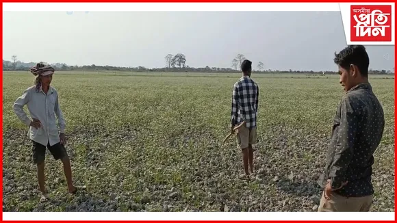 কৃষিমন্ত্ৰীৰ সমষ্টিত কৃষকৰ হাহাঁকাৰ, কৃষকসকলৰ মৰ্মবেদনা বুজিব কোনে ?