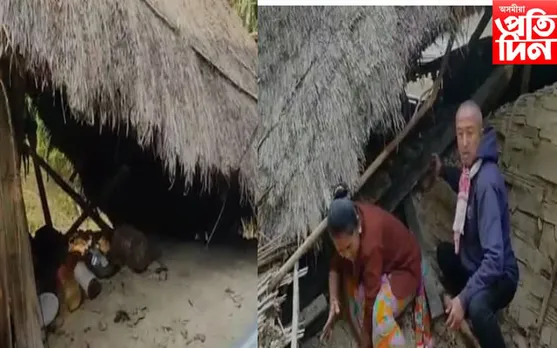 বন্য হস্তীৰ তাণ্ডৱ!  ভাঙি পেলালে  দৰিদ্ৰ পৰিয়ালৰ বাসগৃহ