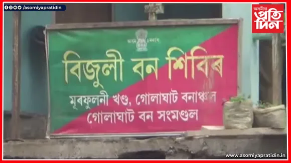 গোলাঘাট জিলা বন বিভাগৰ আজব কাণ্ড!