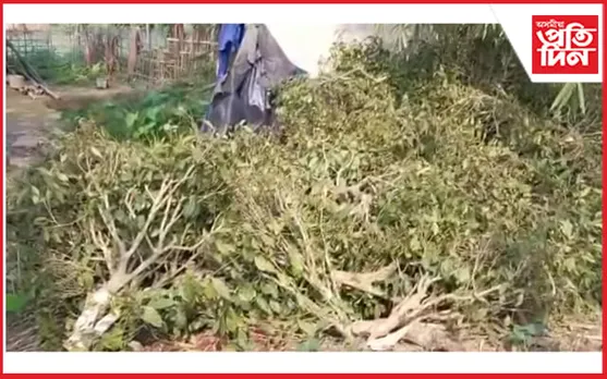 শুকানপুখুৰী চাহ বাগিচাৰ ব্যৱস্থা গ্ৰহণৰ দাবীত তিনিচুকীয়া জিলা উপায়ুক্তক স্মাৰক-পত্ৰ চাহ জনগোষ্ঠী জাতীয় মহাসভাৰ