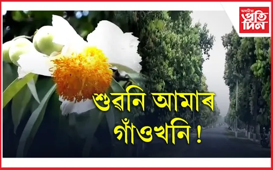 এখন সপোন-সপোন লগা গাওঁ! 