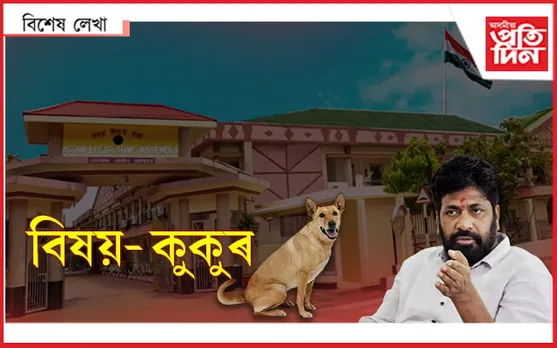 ৰাইজৰ দুখ বুকুতঃ কুকুৰ পাছত বিৰোধী... 