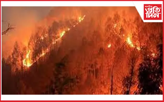 ভয়ংকৰ বনজুইৰ কবলত ১০ হেক্টৰ ভূমি...
