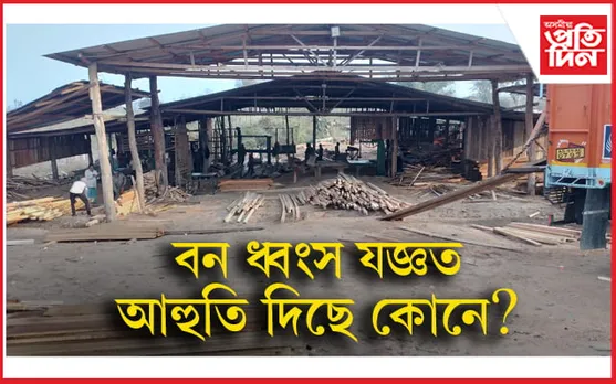 সেউজীয়া পাহাৰত চলিছে অবাধ বনধ্বংস অভিযানঃ সকলো দেখিও চকু মুদিছে বন বিভাগে...