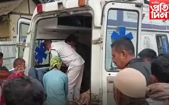 নিয়ন্ত্ৰণ হেৰুৱাই গছত খুন্দা বিবাহযাত্ৰী বাহনৰ, থিতাতে প্ৰাণ গ'ল মহিলাৰ...