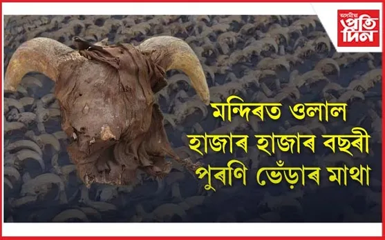 মন্দিৰৰ ভিতৰত ওলাইছে হাজাৰ হাজাৰ ভেঁড়াৰ মাথা...