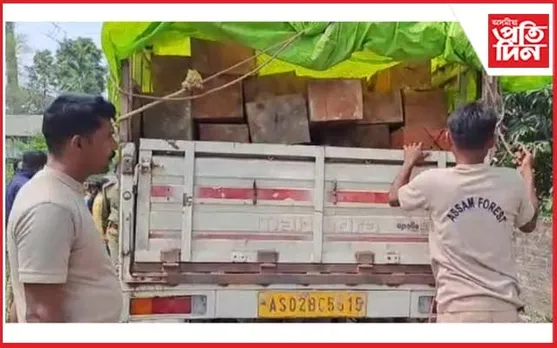 জখলাবন্ধাত চোৰাং কাঠ জব্দ 