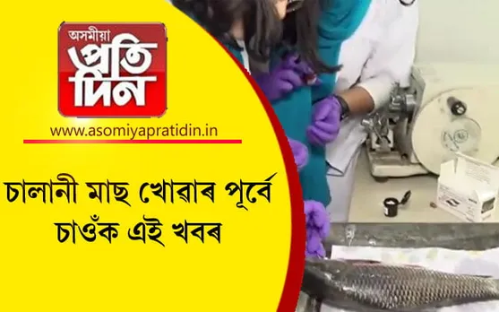 নগাওঁ কলেজৰ পৰীক্ষাত ভয়াবহ তথ্যঃ চালানী মাছত ফৰ্মেলডিহাইড...