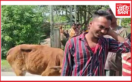 গৰুচোৰৰ ৰূপত শিক্ষকৰ ড্ৰাগছ আসক্ত পুত্ৰ