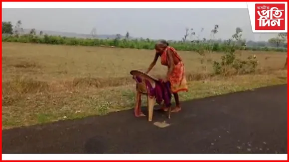 পেঞ্চনৰ বাবে খালী ভৰিৰে কেইবা কিলোমিটাৰ খোজ কাঢ়ি গ'ল বয়সে কুঁজা কৰি পেলোৱা বৃদ্ধা