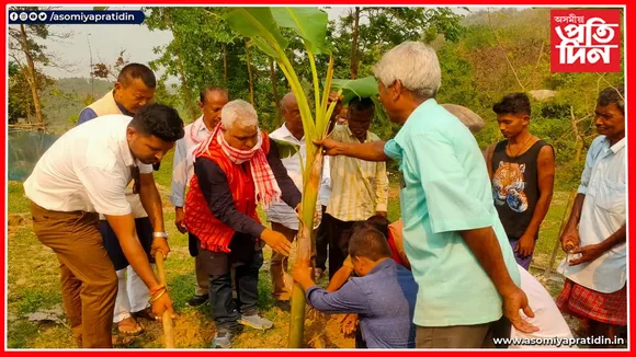 পশ্চিম কাৰ্বি আংলঙত বন্যহস্তীৰ খাদ্যৰ বাবে বৃক্ষৰোপন কাৰ্যসূচী...