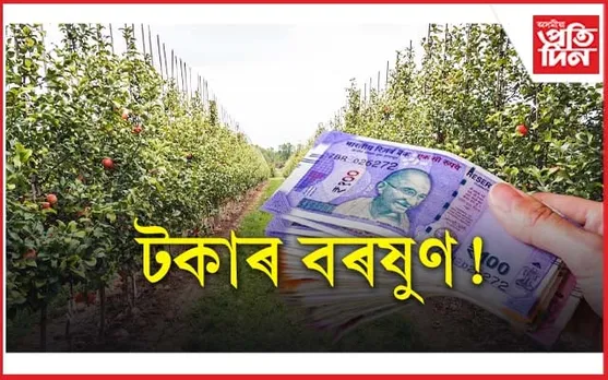 এখন গাঁৱৰ প্ৰতিঘৰ লোকেই কোটিপতি...
