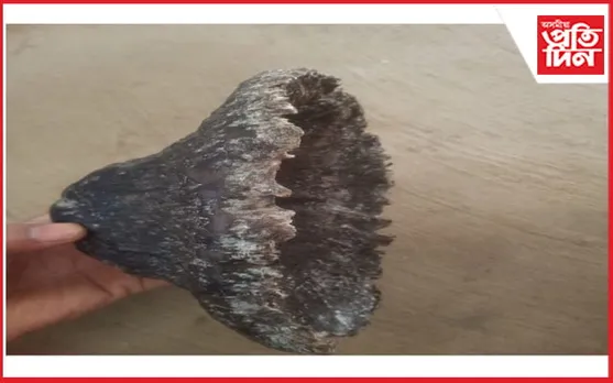 বিহুৰ দিনাই বটদ্ৰৱাত অপৰাধীলৈ আৰক্ষীৰ গুলী চালনা...