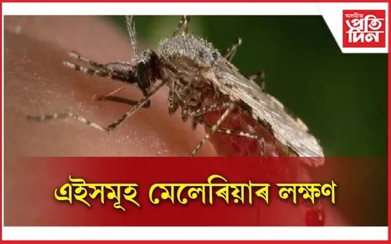লক্ষণ দেখা পালে সতৰ্ক হওক, খাওঁক এইসমূহ খাদ্য