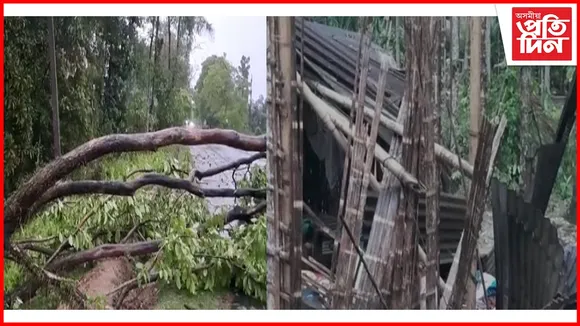 প্ৰচণ্ড ধুমুহাই প্ৰাণ কাঢ়িলে এজনৰঃ ভাঙি-চিঙি চুৰমাৰ ঘৰ-বাৰী