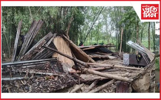 নুমলীগড়ত হাতী-মানুহৰ সংঘাতৰ ভয়ংকৰ ৰূপ, কেইবাটাও বাসগৃহ ভাঙি তচনচ