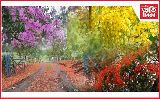 কাজিৰঙাত প্ৰকৃতিৰ দলিচা...