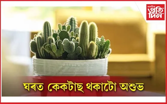 ঘৰৰ কি কি সামগ্ৰীয়ে অশুভ শক্তিক আকৰ্ষণ কৰে জানেনে ?
