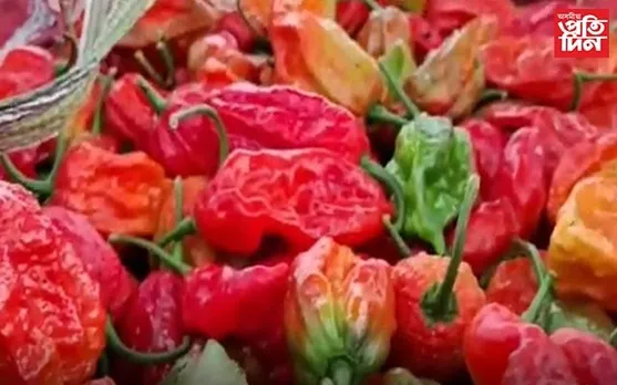 ভোট জলকীয়া খেতিৰে স্বাৱলম্বনৰ নিদৰ্শন দাঙি ধৰিছে এখন গাঁৱৰ ৰাইজে