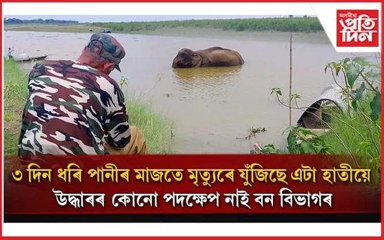 ৩ দিনে পানীৰ মাজত আৱদ্ধ এটা হাতীঃ দৰ্শকৰ ৰূপত বন বিভাগ, উদ্ধাৰৰ নাই কোনো পদক্ষেপ...