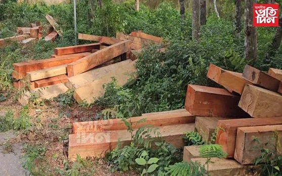 চিৰাঙৰ অনুজ্ঞা পত্ৰধাৰী কাঠফলা মিলত বনধ্বংস কাৰ্য্য চলি থকাৰ অভিযোগ...