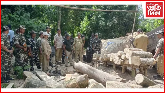 কুমাৰীকাটাত জব্দ অবৈধ কাঠফলা মিল