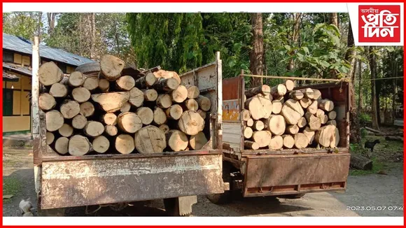 তামুলপুৰৰৰ কুমাৰীকাটাৰ কালিপুৰত বাহন সহ কাঠৰ কুণ্ডা জব্দ
