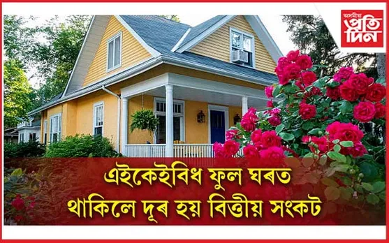 Vastu Tips: জীৱনলৈ আহিব সুখ-সমৃদ্ধি, আজিয়েই ঘৰত ৰোপন কৰা এই ফুল