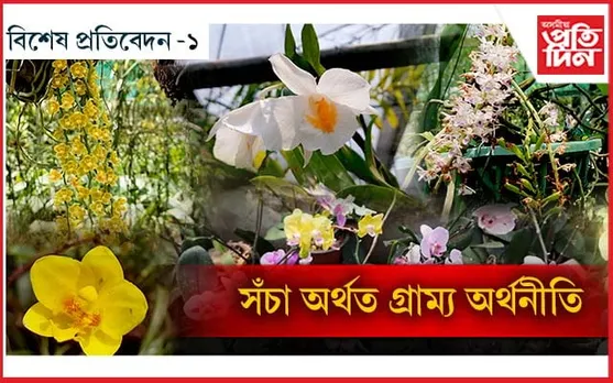 স্বাভিমানী অসমীয়াৰ সৃষ্টি আৰু কৃষ্টিৰ প্ৰাণকেন্দ্ৰ হৈ পৰা কাজিৰঙাৰ কঠিয়াতলী