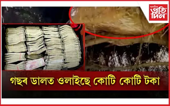 কংগ্ৰেছ নেতাৰ ভাতৃৰ বাসগৃহত তালাচী! টকাই টকা ওলাল গছৰ পৰা