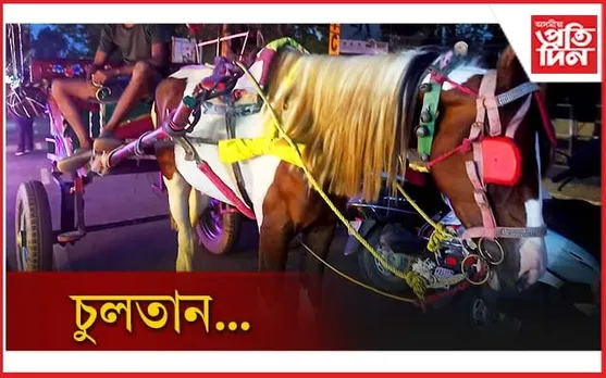 ৰথত উঠি পাইছেনে ? দীঘলীপুখুৰীৰ পাৰত চুলতানৰ ৰথ...