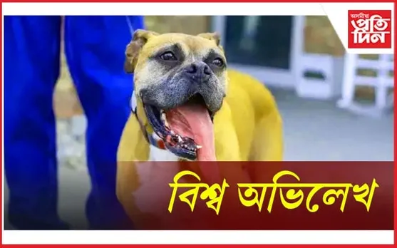 কুকুৰে গঢ়িলে বিশ্ব অভিলেখ