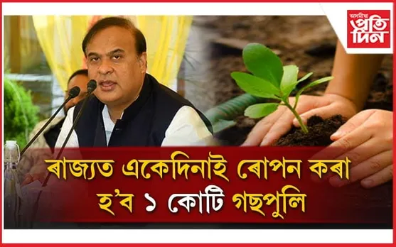 এটা গছপুলি ৰোপন কৰিলে লাভ কৰিব ১০০ ৰ পৰা ২০০ টকা পৰ্যন্ত! 