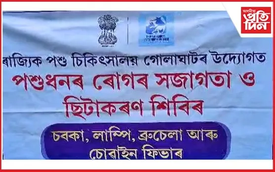 ৰাজ্যৰ প্ৰান্তে প্ৰান্তে গো-ধনৰ দেহত লাম্পি ৰোগ: গোলাঘাটত বিনামূলীয়া টিকাকৰণ...