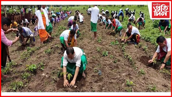 বিশ্ব পৰিৱেশ দিৱস উপলক্ষে বাক্সাত এবছুৰ পাঁচ হাজাৰৰো অধিক গছপুলি ৰোপণ...