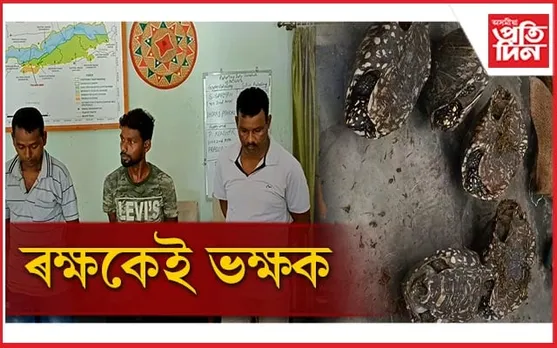 দীৰ্ঘদিন ধৰি কাজিৰঙাত কাছ বিক্ৰী কৰিলে বনকৰ্মীয়ে, অৱশেষত গ্ৰেপ্তাৰ...