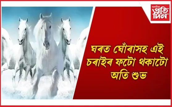 পৰিয়ালৰ ভালৰ বাবে আজিয়েই ঘৰলৈ আনক এইসমূহ মূৰ্তি-ফটো