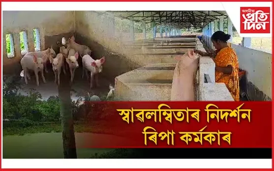 বঢ়মপুৰৰ ৰিপাই গাহৰি পালনেৰে দেখুৱাইছে স্বাৱলম্বিতাৰ নিদৰ্শন...