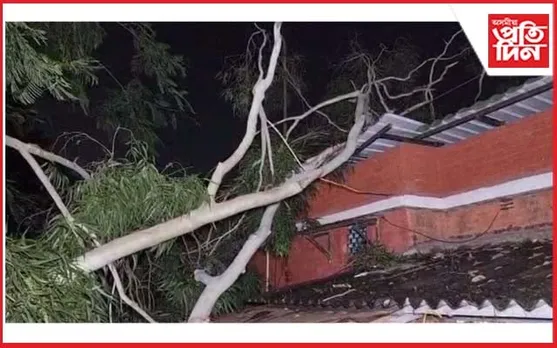 নেৰানেপেৰা বৰষুণত ঘৰৰ ওপৰত পৰিল প্ৰকাণ্ড গছ...