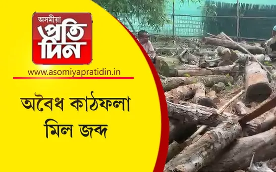 গোলাঘাটত দুটা অবৈধ কাঠমিল উৎখাত...