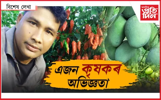 ঘোঁচ নিদিওঁ, ভুল হৈছে ফাইন দিম...