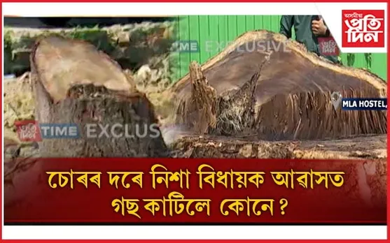 বিধায়ক আৱাসত পাৰ্ক নিৰ্মাণৰ বাবে কাটি তহিলং প্ৰকাণ্ড প্ৰকাণ্ড গছ...