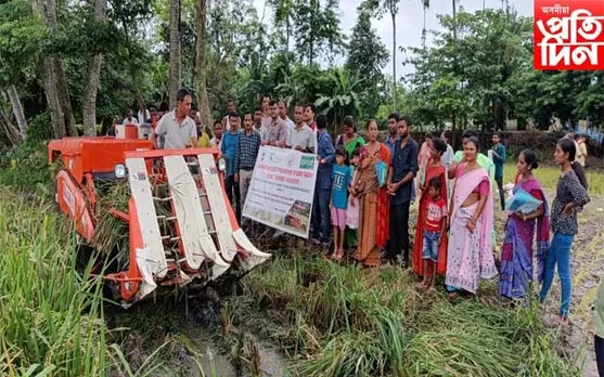 নলবাৰীত অনুষ্ঠিত হয় "বৰো ধান চপোৱা উৎসৱ"...