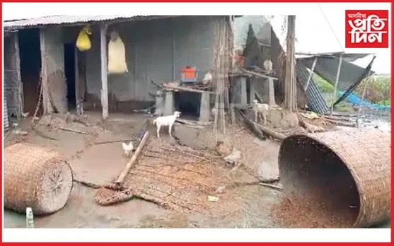 বিশ্বনাথত নিশা বন্যহস্তীৰ তাণ্ডৱঃ কুম্ভকৰ্ণৰ নিদ্ৰাত বন বিভাগ